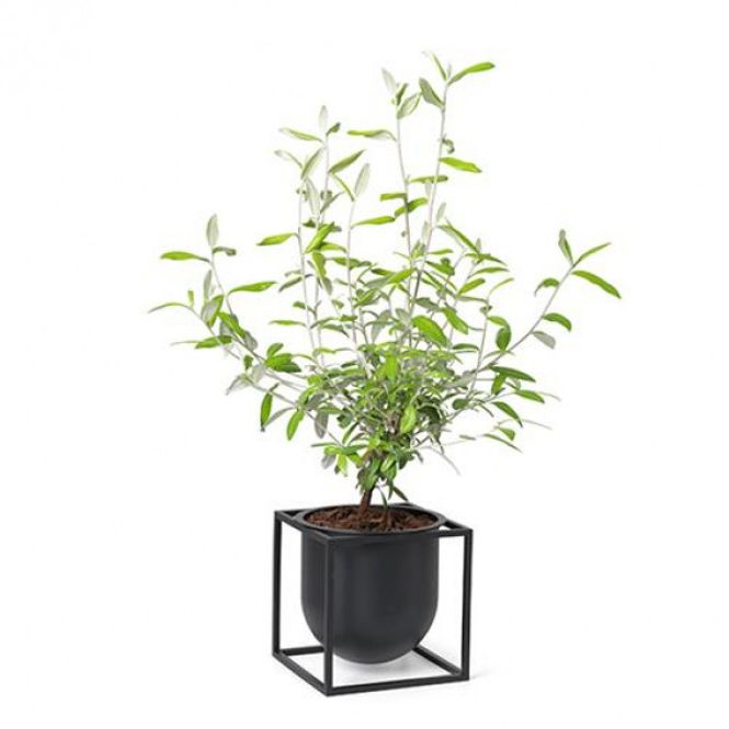 Hovedbilde By Lassen Kubus Flowerpot Blomsterpotte 14, Svart