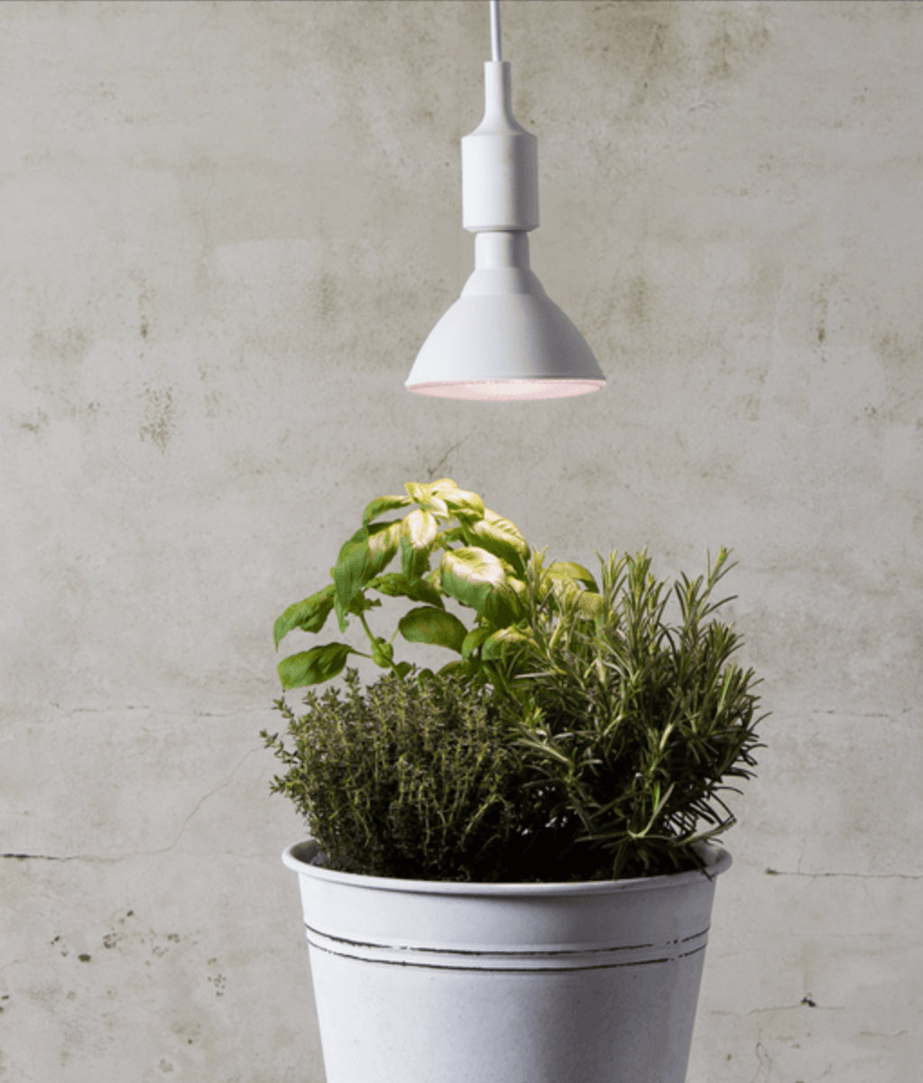 Star - LED Lamp E27 PAR38 Plant Light